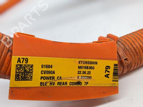 Cable KIA EV6 (CV) ELECTRIC AWD | BP29691985E12