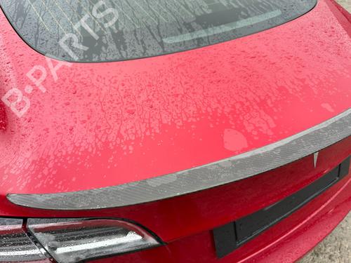 Bagasjeromsbekledning TESLA MODEL 3 (5YJ3) EV Performance AWD | BP31985122I3