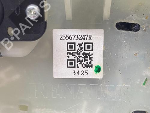 Ratstangsstang RENAULT ZOE (BFM_) R110 | BP29691457I23