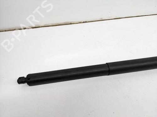 Inne TESLA MODEL S (5YJS) 85 | BP29693166O1