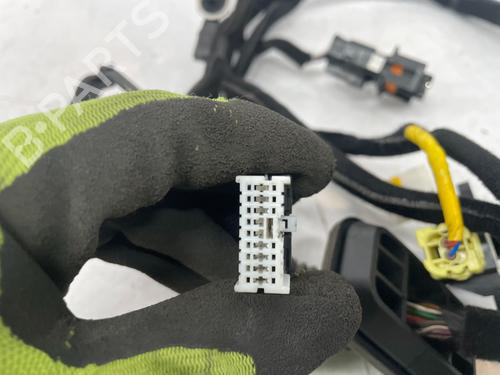 Kabelboom KIA NIRO I (DE) E-NIRO | BP29692227E16