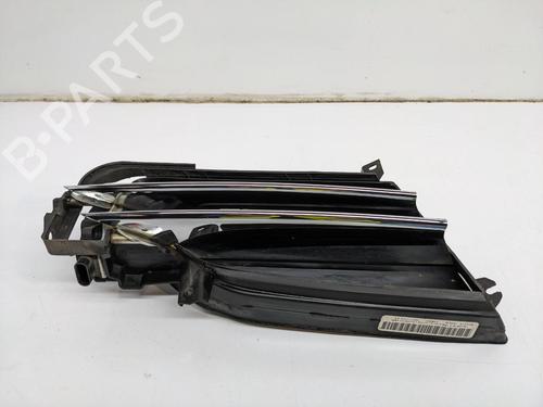 Atrapa chłodnicy / Grill TESLA MODEL S (5YJS) 85 | BP29692170C40 