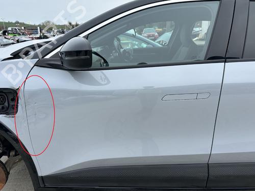 Porta anteriore sinistra Porta anteriore sinistra RENAULT MEGANE E-TECH SUV EV60 (BNJ1) (218 hp) 33731436 33731436