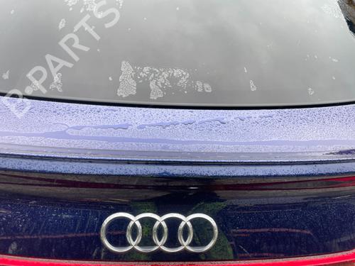 Guarnecido del maletero AUDI E-TRON (GEN) 55 quattro | BP29693890I3