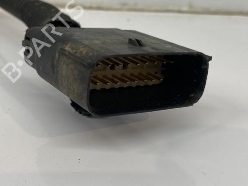 Ledningsnet PEUGEOT 2008 II (UD_, US_, UY_, UJ_, UR_, UC_) e-2008 (UKZKXZ) | BP29690310E16 