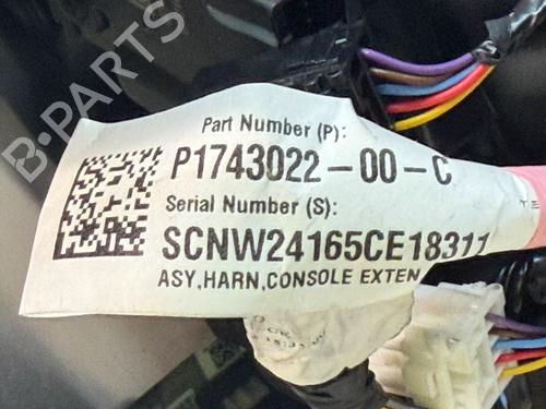 Andre TESLA MODEL 3 (5YJ3) EV AWD | BP33815212O1  - Image 9