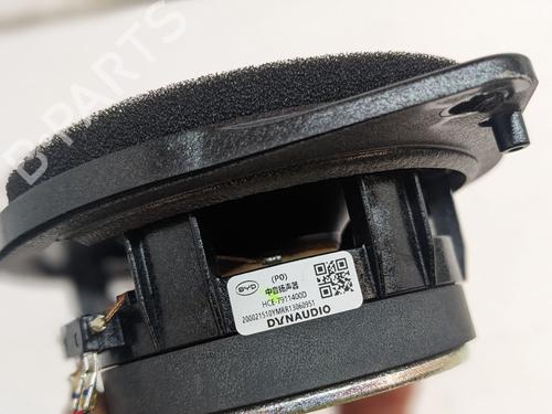 Luidspreker BYD SEAL EV AWD | BP30165027E2