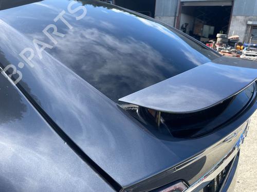 Bakluke CC/Kombi-Kupé TESLA MODEL X (5YJX) 100D AWD | BP29693719C6 