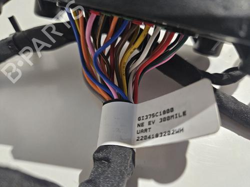 Ledningsnett KIA EV6 (CV) 77 | BP29688317E16