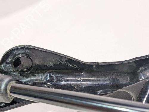 Dørhængsel/Dørbegrænser TESLA MODEL 3 (5YJ3) EV AWD | BP29689040C146 