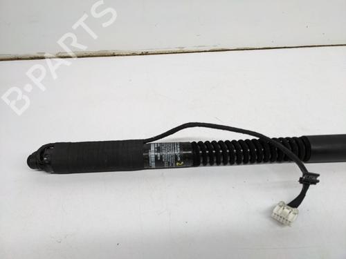 Inne TESLA MODEL S (5YJS) 85 | BP29693164O1