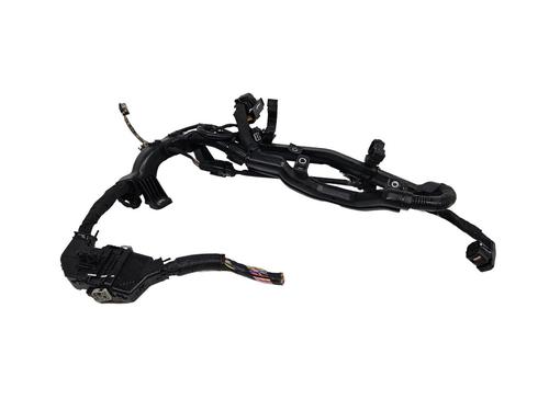 Ledningsnet KIA EV6 (CV) 77 (228 hp) 29688343