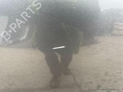 Dør højre bagtil NISSAN LEAF (ZE1) Electric | BP29695226C5 