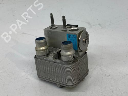 Wasserkühler VAUXHALL CORSA Mk V (F) CORSA-e | BP29691441M31
