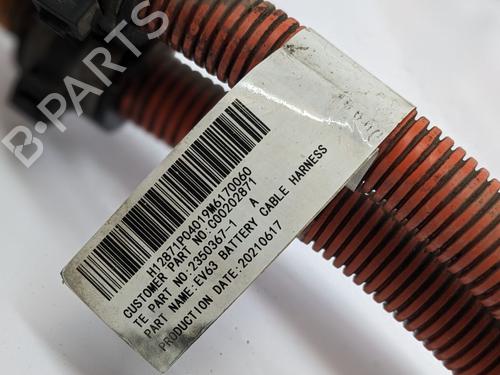 Kabel MAXUS EDELIVER 9 Van Electric (SV63C, SV63D) | BP29689867E12