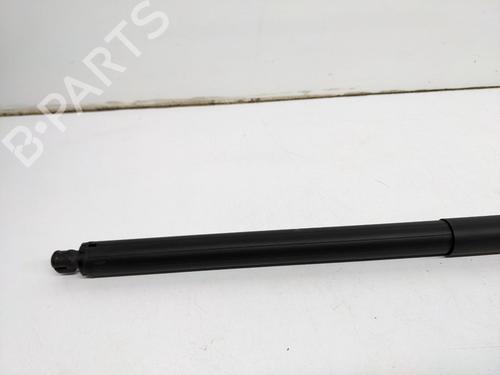 Inne TESLA MODEL S (5YJS) 85 | BP29693165O1