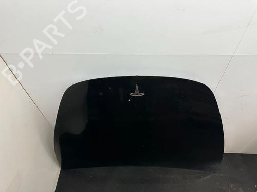 Capot TESLA MODEL 3 (5YJ3) EV | BP32129995C1 