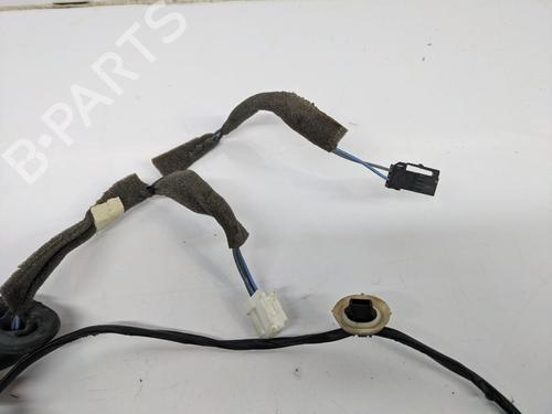Ledningsnett SMART FORFOUR Hatchback (453) 1.0 (453.042, 453.043) | BP29691689E16 