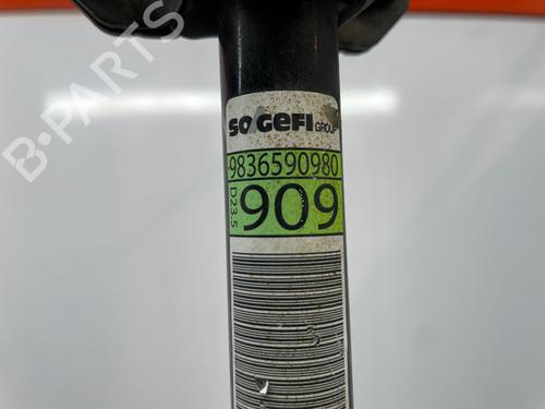 Krængningsstabilisator PEUGEOT 208 II (UB_, UP_, UW_, UJ_) e-208 | BP29690774M96