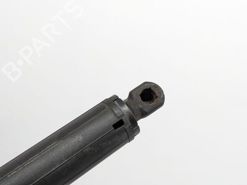 Inne TESLA MODEL S (5YJS) 85 | BP29693165O1