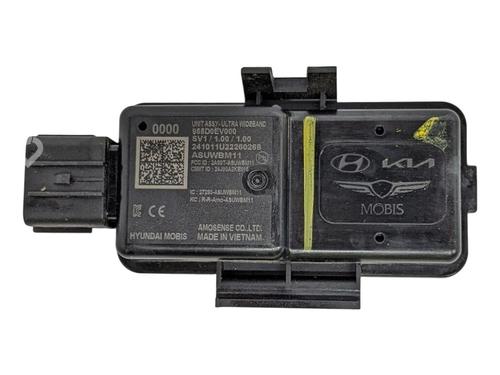 Elektronisk modul KIA EV3 EV (204 hp) 29694398