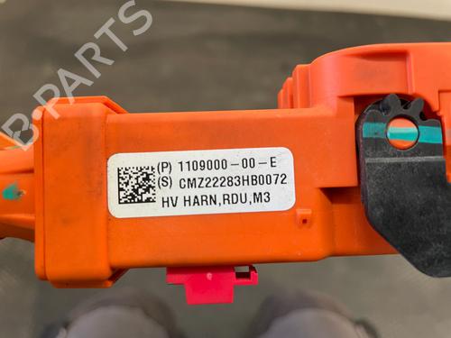 Kabel TESLA MODEL 3 (5YJ3) EV | BP29694759E12