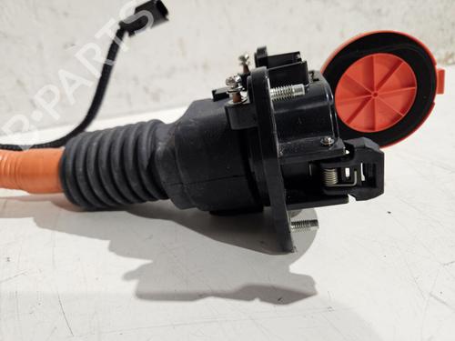 Kabel NISSAN LEAF (ZE1) Electric | BP29688794E12 