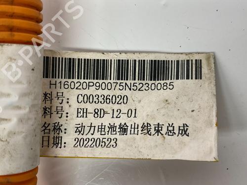 Kabel MAXUS eDELIVER 3 Van Electric (SV3C) | BP29690028E12 