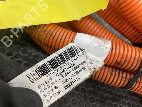 Kabel MAXUS T90 EV | BP29694879E12 
