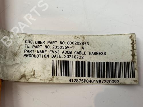 Kabel MAXUS eDELIVER 3 Van Electric (SV3C) | BP29690029E12 