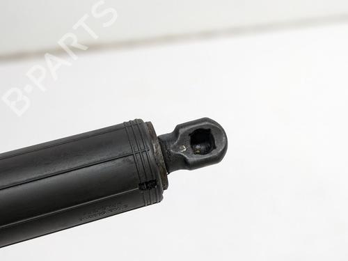 Inne TESLA MODEL S (5YJS) 85 | BP29693166O1