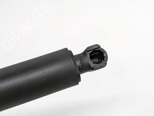 Autre TESLA MODEL S (5YJS) 85 | BP29693163O1 