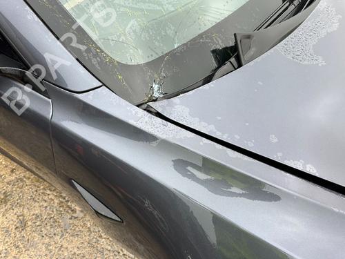 Forskærm Højre TESLA MODEL 3 (5YJ3) EV | BP31748467C42 