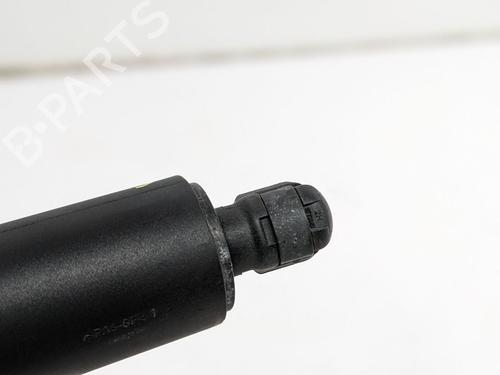 Inne TESLA MODEL S (5YJS) 85 | BP29693165O1