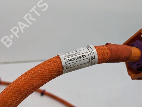 Kabel BMW 1 (F40) 118 i | BP29692533E12 
