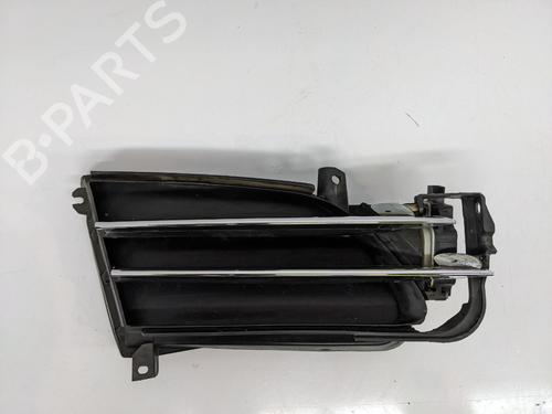 Atrapa chłodnicy / Grill TESLA MODEL S (5YJS) 85 | BP29692170C40 