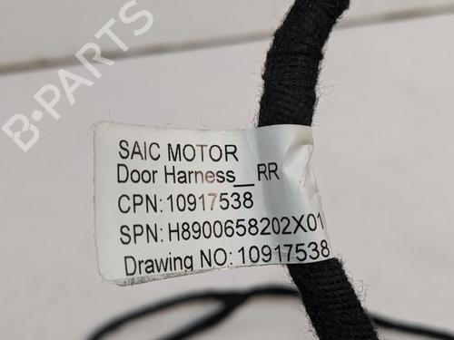 Ledningsnet MG MG ZS SUV (AZS1) EV (CSA7001) | BP29873781E16