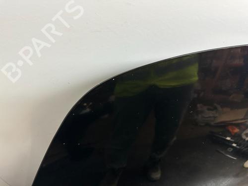 Capot TESLA MODEL 3 (5YJ3) EV | BP32129995C1 