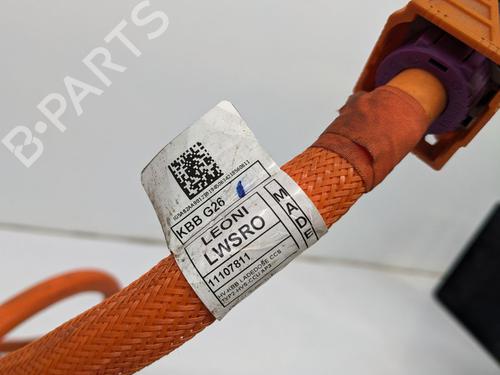 Kabel BMW 1 (F40) 118 i | BP29692533E12 