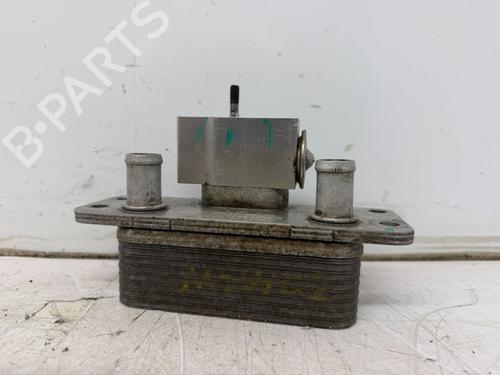 Ander TESLA MODEL S (5YJS) 85 | BP30981836O1