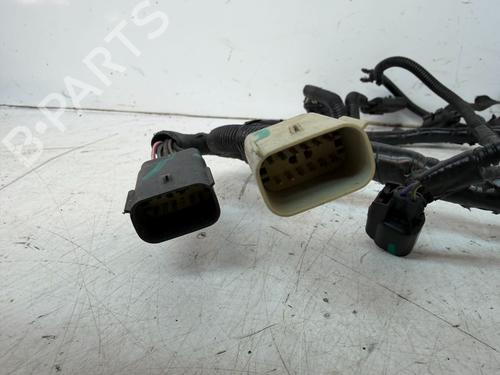 Ledningsnett TESLA MODEL S (5YJS) 85 | BP30893945E16