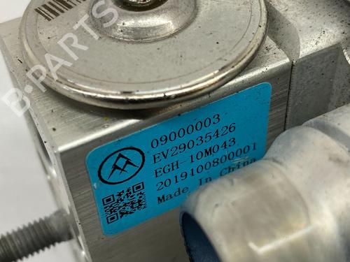 Wasserkühler VAUXHALL CORSA Mk V (F) CORSA-e | BP29691441M31