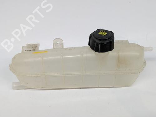 Ekspansjonstank RENAULT ZOE (BFM_) R110 | BP29691144C120 