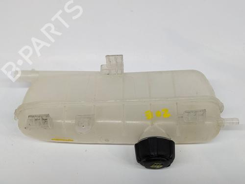 Ekspansjonstank RENAULT ZOE (BFM_) R110 | BP29691144C120 
