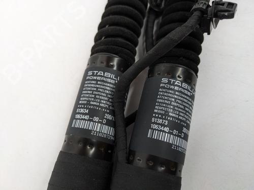 Gassdemper Bakluke TESLA MODEL X (5YJX) 100D AWD | BP29694473C138 