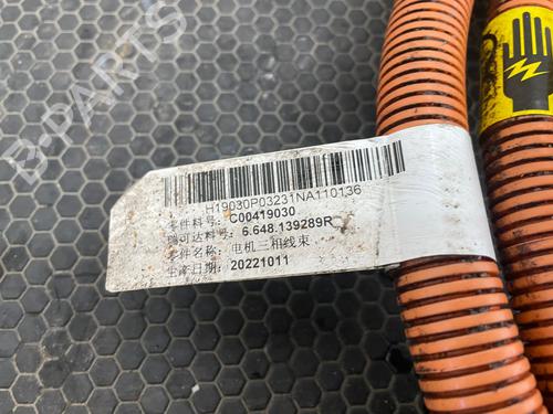 Kabel MAXUS T90 EV | BP29694878E12 