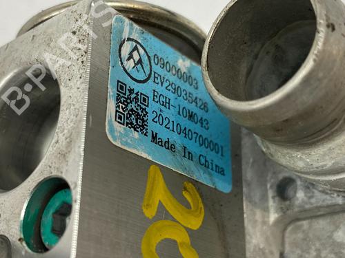 Køler PEUGEOT 2008 II (UD_, US_, UY_, UJ_, UR_, UC_) e-2008 (UKZKXZ) | BP29691499M31 