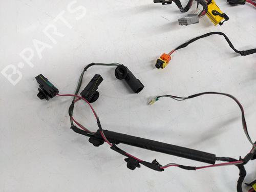 Faisceau de câbles TESLA MODEL S (5YJS) 85 | BP29692822E16