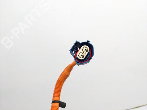 Kabel TESLA MODEL S (5YJS) 85 | BP29693196E12