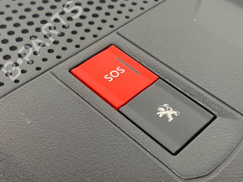 Plafonier PEUGEOT 2008 II (UD_, US_, UY_, UJ_, UR_, UC_) e-2008 (UKZKXZ) | BP29690484I8 